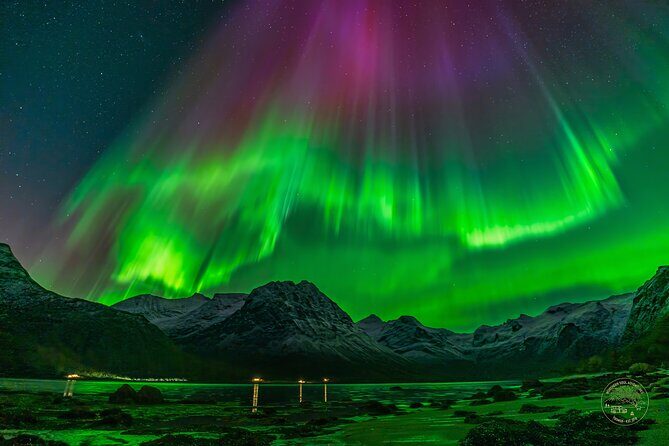 Small Group 4x4 Van Journey in Search of the Northern Lights - Key Points