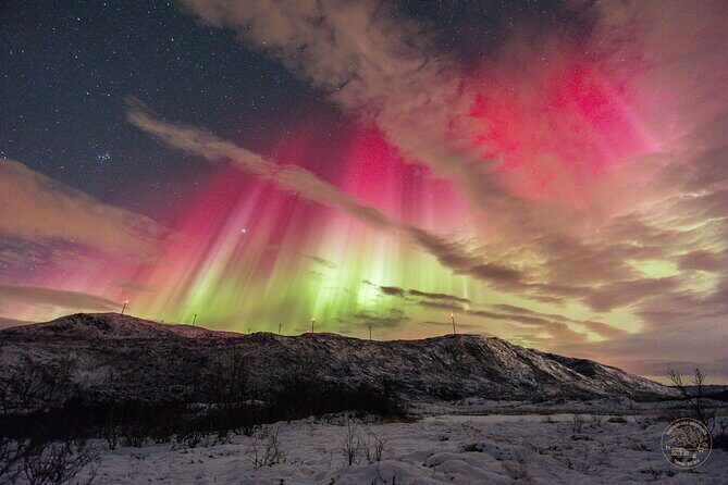 Small Group 4x4 Van Journey in Search of the Northern Lights - Who Is This Tour Best Suited For?