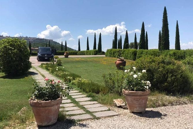 small-group-7-chianti-side-wine-tour-with-mercedes-v-class-van