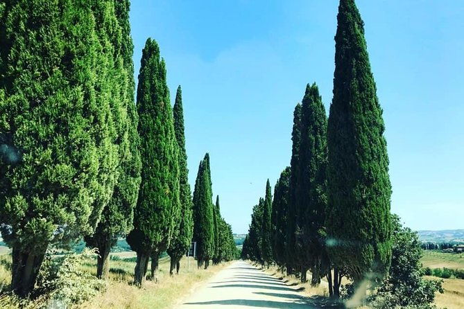 small-group-7-chianti-side-wine-tour-with-mercedes-v-class-van