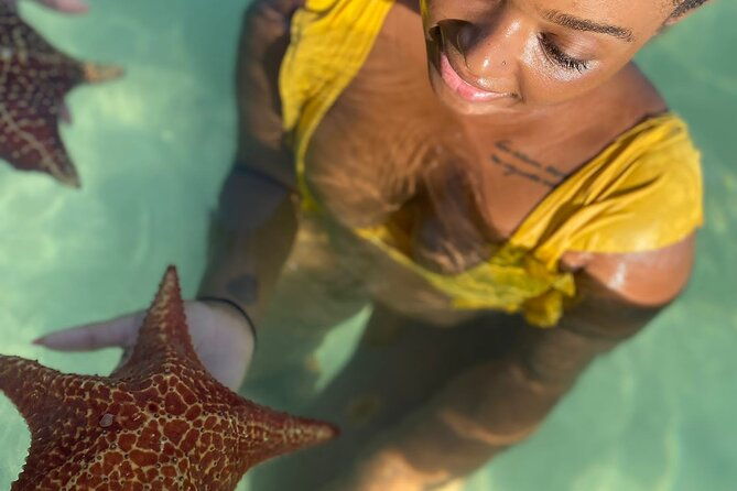 small-group-7-mile-beach-stingray-city-and-coral-gardens-tour