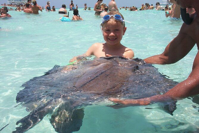 small-group-7-mile-beach-stingray-city-and-coral-gardens-tour