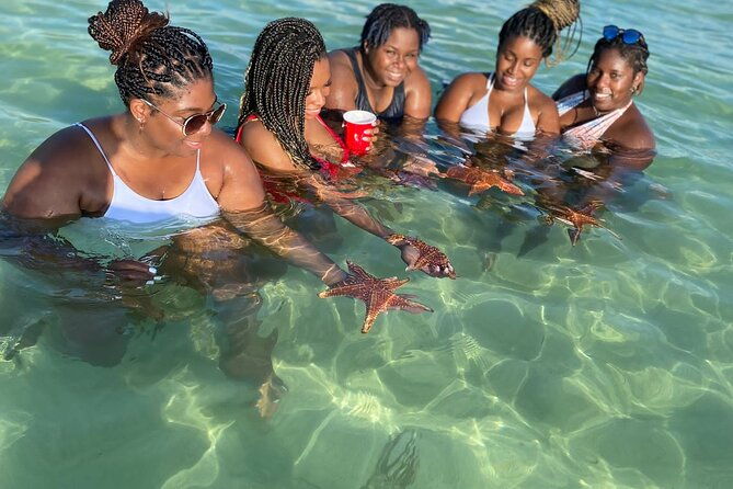small-group-7-mile-beach-stingray-city-and-coral-gardens-tour