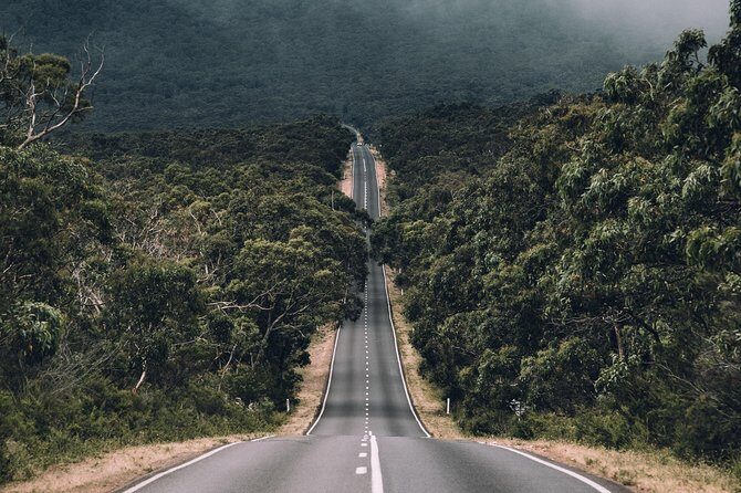 Small Group (8 ppl ) - Grampians Hiking Day Tour from Melbourne - Practical Considerations