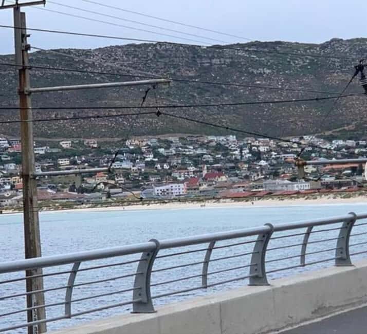 Small Group: African Penguins,Boulders beach-Half-Day Tour. - Key Points