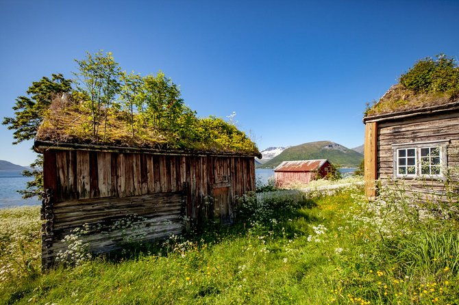 small-group-arctic-landscapes-sightseeing-with-citizen-science-from-tromso