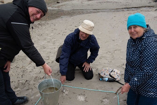 small-group-arctic-landscapes-sightseeing-with-citizen-science-from-tromso