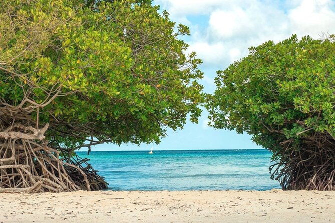 small-group-aruba-scuba-diving-for-non-certified-divers