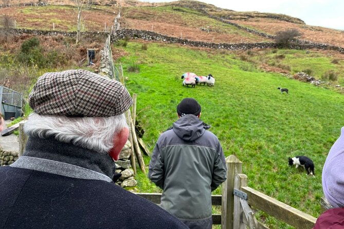 small-group-aughnanure-castle-sheepdog-demo-connemara-tour