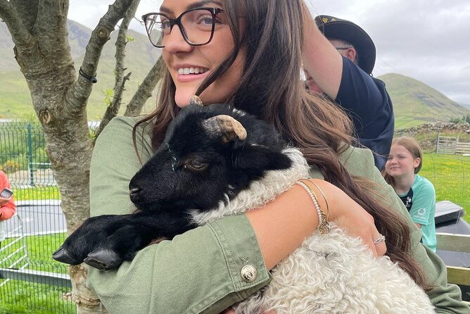 small-group-aughnanure-castle-sheepdog-demo-connemara-tour