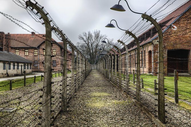 Small Group Auschwitz-Birkenau Guided Tour from Krakow ABTA - Who Would Benefit from This Tour?