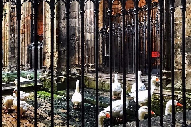 small-group-barcelona-walking-tour-flamenco-show-tapas-dinner-2