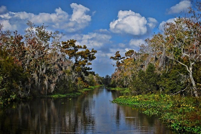 small-group-bayou-airboat-ride-with-transport-from-new-orleans