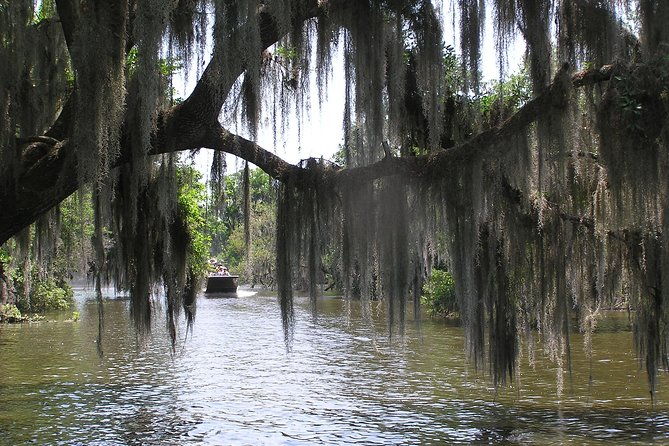 small-group-bayou-airboat-ride-with-transport-from-new-orleans