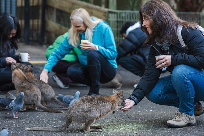 Small Group Blue Mountains Wildlife & Bushwalk Tour From Sydney - Value for Money and Practical Details