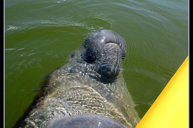 Small Group Boat, Kayak and Walking Guided Eco Tour in Everglades National Park - Frequently Asked Questions