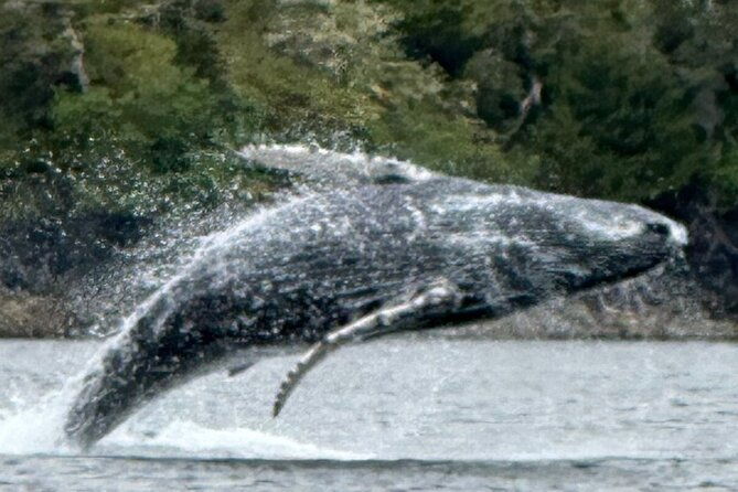 small-group-boat-tour-of-sitka-2
