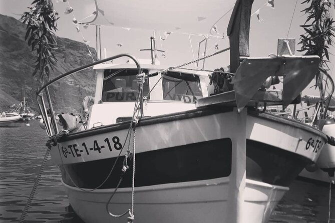 small-group-boat-whale-and-dolphin-watching-tour