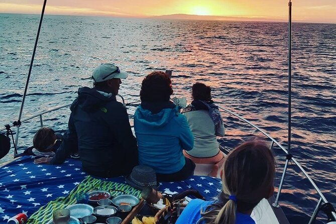 small-group-boat-whale-and-dolphin-watching-tour