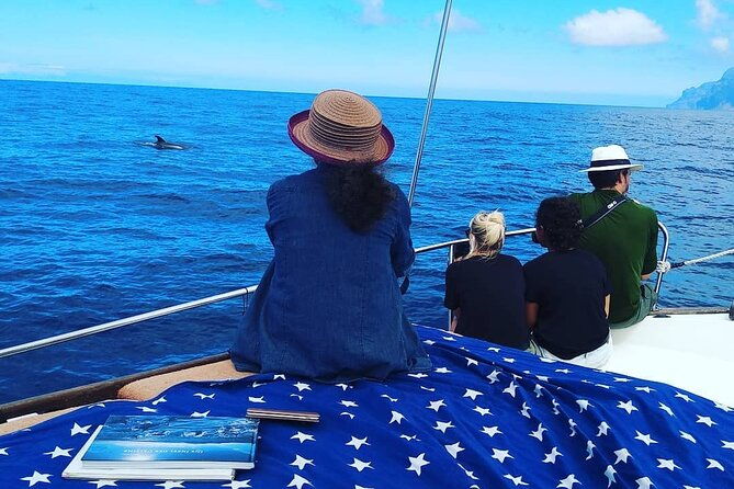 small-group-boat-whale-and-dolphin-watching-tour