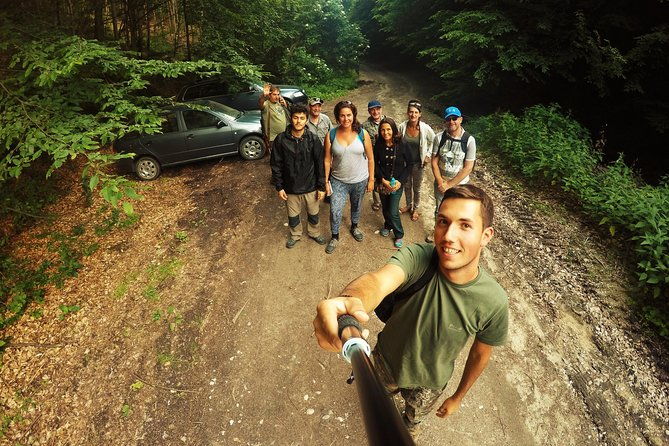 small-group-brown-bear-watching-experience-from-brasov