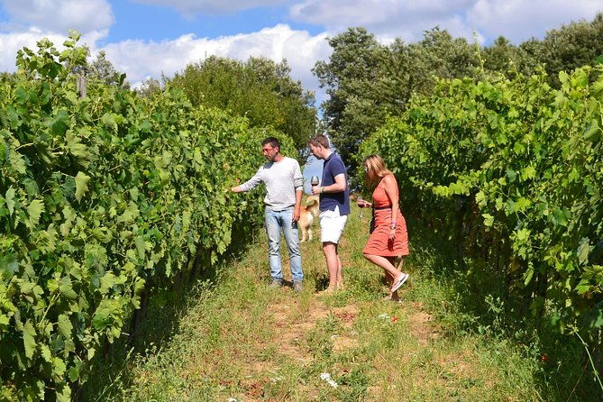 small-group-brunello-wine-tour-of-montalcino-from-florence-2