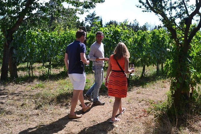 small-group-brunello-wine-tour-of-montalcino-from-florence