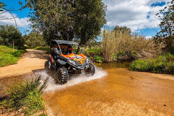 Small-Group Buggy Riding Safari in Algarve - Authenticity and Reviewer Insights