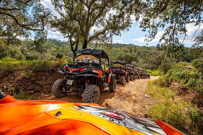 Small-Group Buggy Riding Safari in Algarve - FAQ