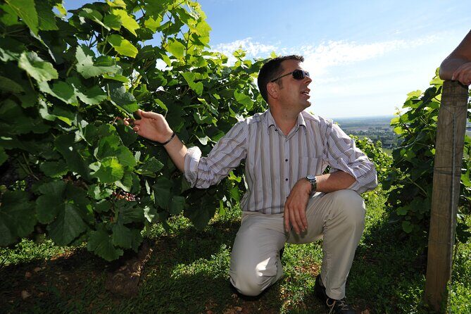 Small group Burgundy tour of Beaune with Wine Tasting from Dijon - Who Should Book This Tour?