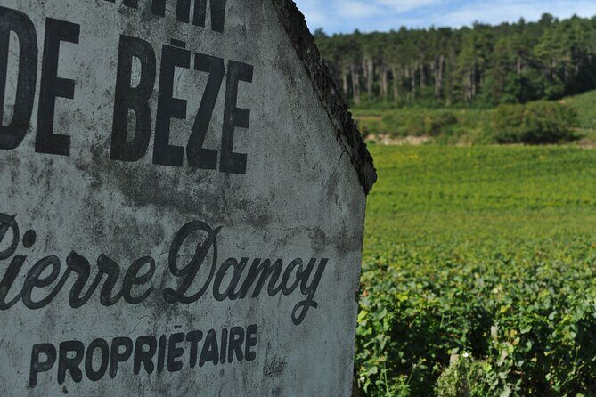 Small group Burgundy tour of Beaune with Wine Tasting from Dijon - FAQ