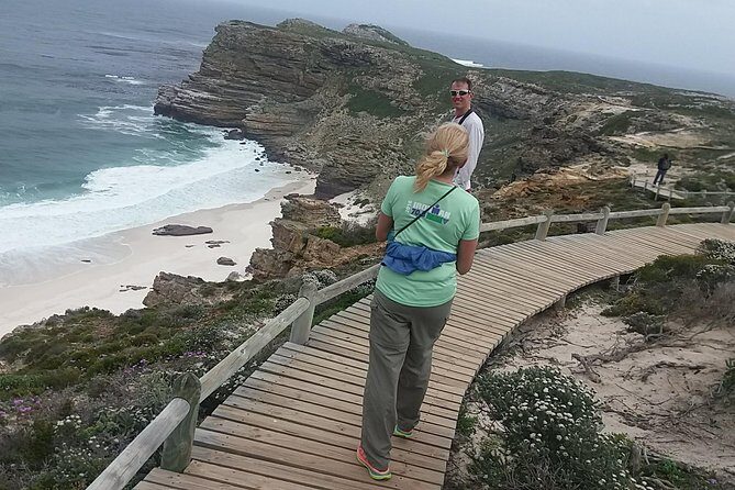 Small Group Cape Of Good Hope Penguins Wine Tasting Inc Park Fees - An Impressive Itinerary with Something for Everyone