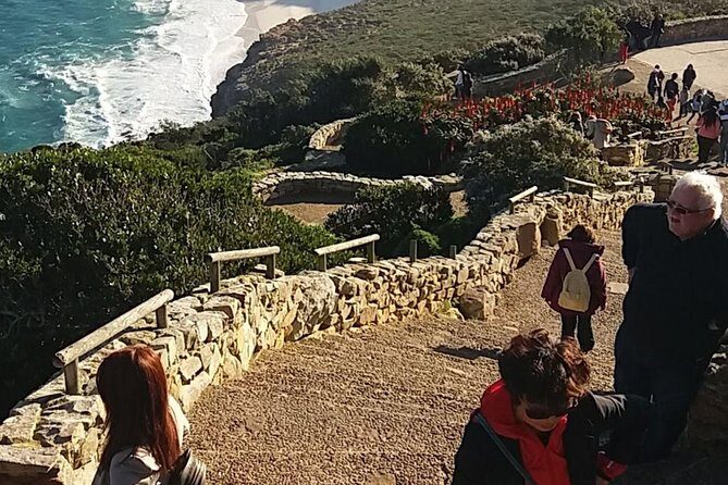 Small Group Cape Of Good Hope Penguins Wine Tasting Inc Park Fees - FAQ