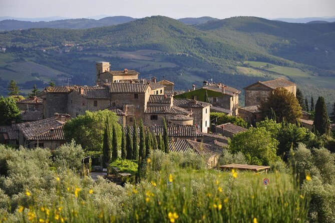 SMALL GROUP Chianti 2 wineries & lunch (max 8 people) - The Value and Practical Aspects