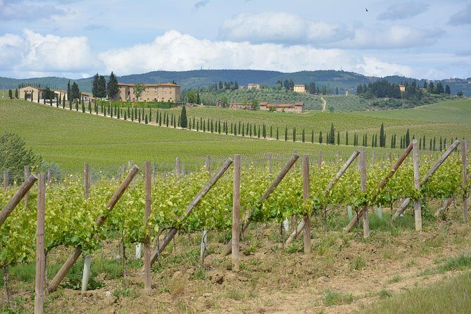 SMALL GROUP Chianti 2 wineries & lunch (max 8 people) - FAQ