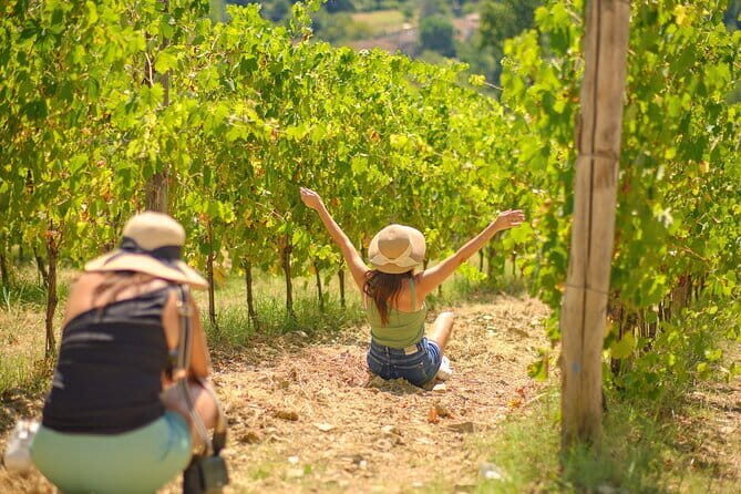 SMALL GROUP Chianti 2 wineries & meat feast @ Dario Cecchini - The Scenic Stroll in Greve in Chianti