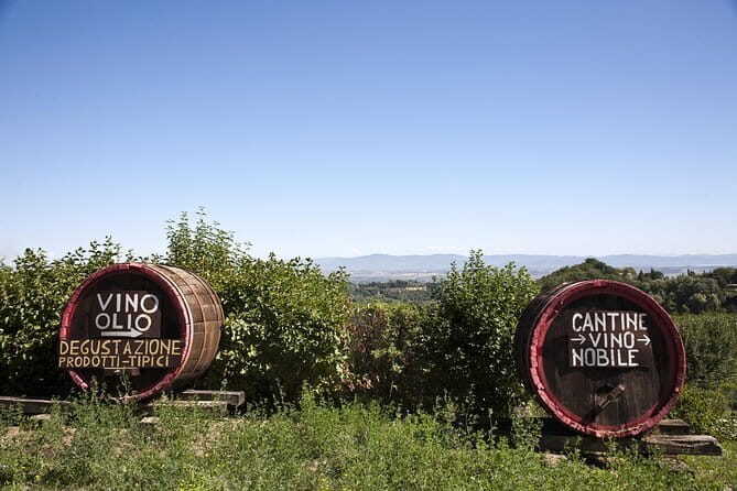 SMALL GROUP Chianti 2 wineries & meat feast @ Dario Cecchini - Practical Details and Considerations