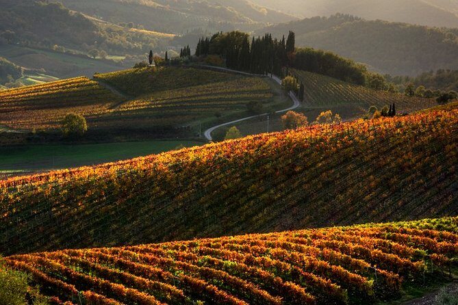 Small-Group Chianti and San Gimignano Sunset Trip from Siena - An In-Depth Look at the Small-Group Chianti and San Gimignano Sunset Tour
