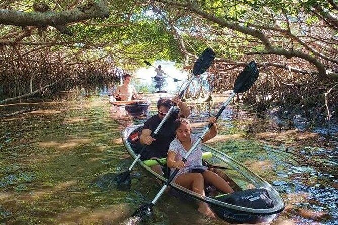 Small-Group Clear Kayak Tour in Shell Key - Key Points