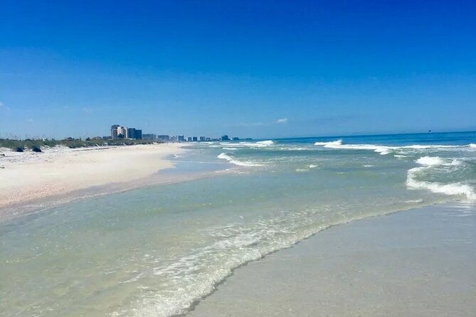 small-group-clearwater-beachdolphin-watch-day-tour-from-orlando