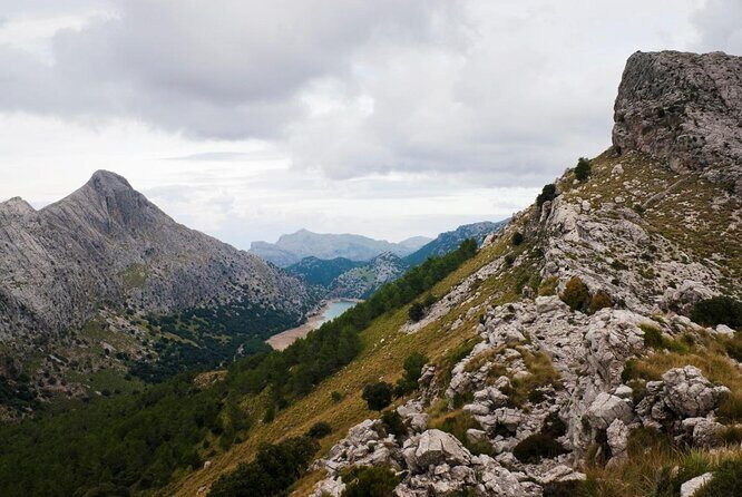 Small-Group Cliff Jumping Experience in Mallorca - FAQs