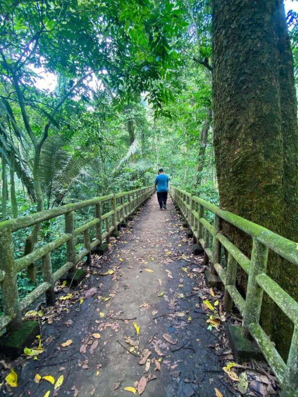 small-group-cucphuong-national-park-1-day-pick-up-ninh-binh