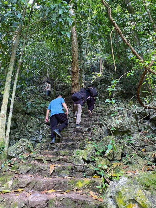 small-group-cucphuong-national-park-1-day-pick-up-ninh-binh