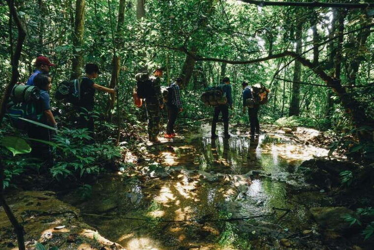 small-group-cucphuong-national-park-1-day-pick-up-ninh-binh