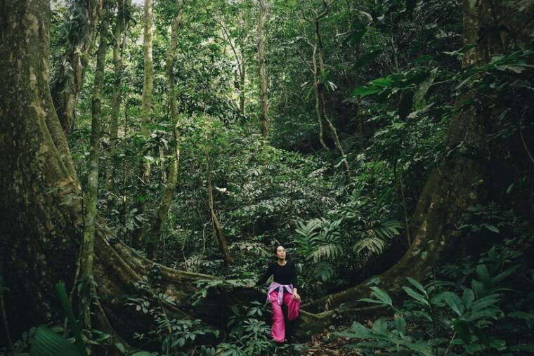 small-group-cucphuong-national-park-1-day-pick-up-ninh-binh