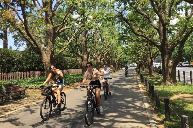 small-group-cycling-tour-in-tokyo