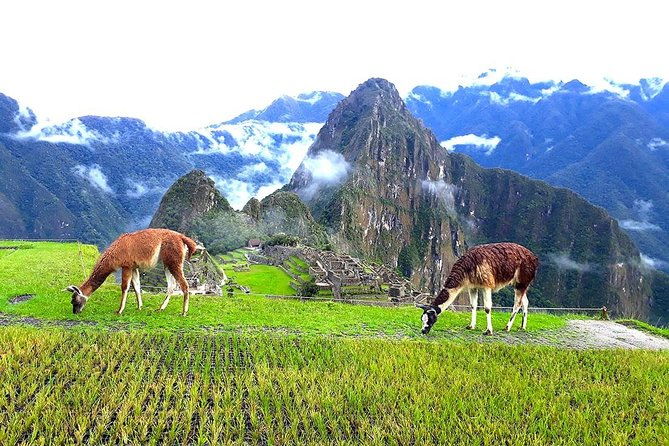 small-group-day-tour-to-machu-picchu