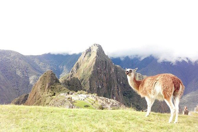 small-group-day-tour-to-machu-picchu