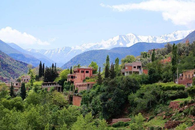 Small Group Day Tour to Ourika Valley from Marrakech - Introduction