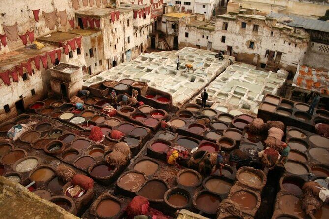 Small Group Day Trip to Chefchaouen from Fez - Key Points